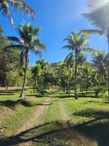 Fazenda / Sítio / Chácara com 3 Quartos à venda, 300m² no Hararas da Peniche, Tanguá