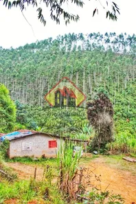 Fazenda / Sítio / Chácara com 3 Quartos à venda, 181500m² no , Redenção da Serra