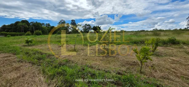 Fazenda / Sítio / Chácara com 3 Quartos à venda, 20000m² no Brazlândia, Brasília