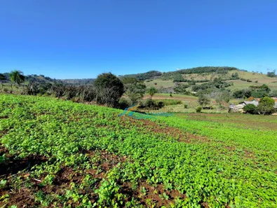 Fazenda / Sítio / Chácara com 5 Quartos à venda, 140360m² no , Guaraniaçu