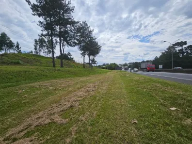 Terreno / Lote Comercial para alugar, 43687m² no Colônia Maria José, Quatro Barras