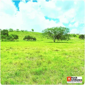 Fazenda / Sítio / Chácara com 3 Quartos à venda, 500000m² no Centro, Nossa Senhora das Dores