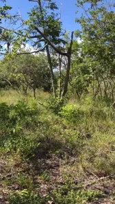 Terreno / Lote / Condomínio à venda, 1184m² no Busca Vida (Abrantes), Camaçari