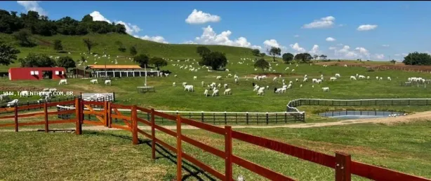 Terreno / Lote Comercial à venda, 1766600m² no Uraí, Uraí