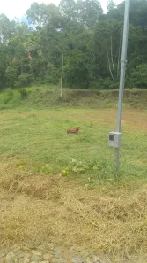Fazenda / Sítio / Chácara com 1 Quarto à venda, 5000m² no Área Rural de Viçosa, Viçosa