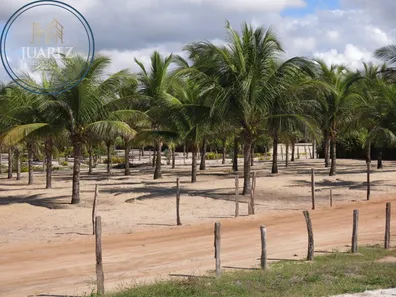 Terreno / Lote / Condomínio à venda, 28648m² no Canavieiras, Canavieiras