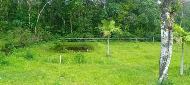 Fazenda / Sítio / Chácara com 3 Quartos à venda, 2500m² no Gaivota, Itanhaém