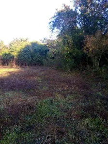 Terreno / Lote Comercial à venda, 24200m² no Pinheiro, Ibiporã