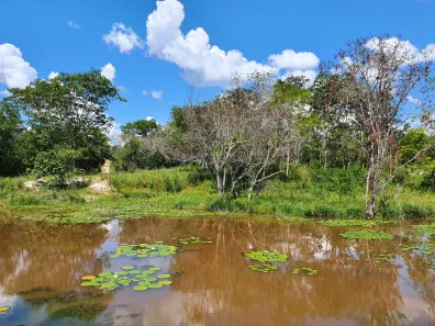Terreno / Lote / Condomínio à venda, 20000m² no Zona Rural, Fortuna de Minas