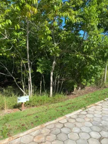 Terreno / Lote / Condomínio à venda, 586m² no Guarajuba (Monte Gordo), Camaçari