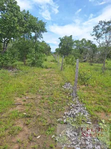 Fazenda / Sítio / Chácara com 4 Quartos à venda, 4065600m² no , Paranã