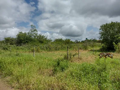 Terreno / Lote / Condomínio com 1 Quarto à venda, 1000m² no Aldeia dos Camarás, Camaragibe