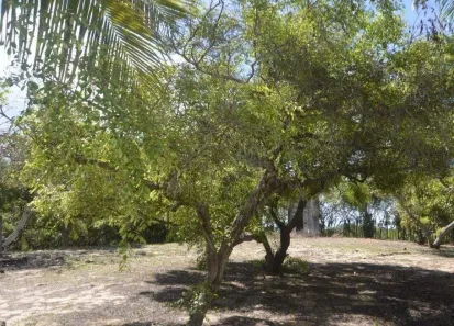Terreno / Lote / Condomínio à venda, 7m² no Aruana, Aracaju