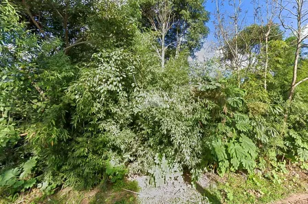 Terreno / Lote / Condomínio à venda, 1534m² no Jardim Pinheiros, Quatro Barras