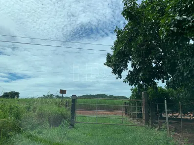 Fazenda / Sítio / Chácara com 5 Quartos à venda, 120m² no Machados, Araraquara