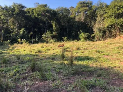 Fazenda / Sítio / Chácara com 1 Quarto à venda, 5121m² no Área Rural de Viçosa, Viçosa