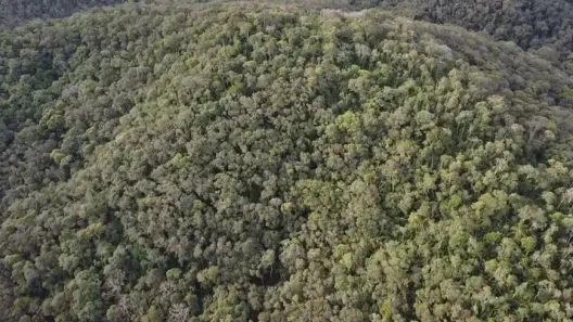 Fazenda / Sítio / Chácara à venda, 290400m² no , Antonina