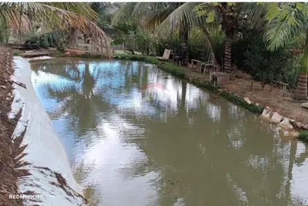 Loja / Salão / Ponto Comercial com 2 Quartos à venda, 5000m² no Vila Bretas, Governador Valadares