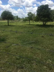 Fazenda / Sítio / Chácara com 4 Quartos à venda, 189m² no , Agrestina