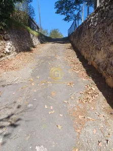 Galpão / Depósito / Armazém para alugar, 296m² no Jardim Esperança, Jacareí