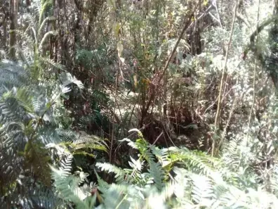 Terreno / Lote / Condomínio à venda, 900m² no Barreiro, Mairiporã