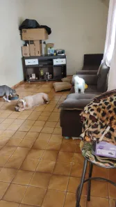 Casa com 3 Quartos à venda, 200m² no Setor Central, Brasília