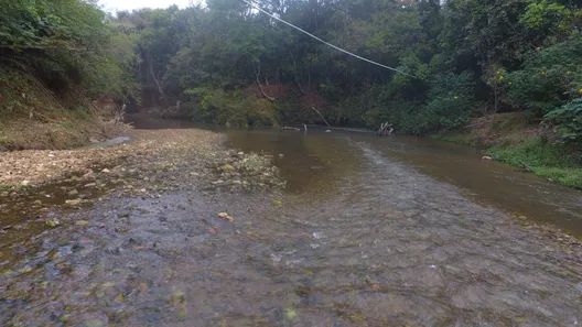 Fazenda / Sítio / Chácara à venda, 50000m² no Área Rural do Gama, Brasília