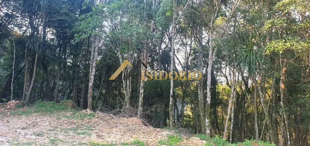 Terreno / Lote / Condomínio à venda, 20000m² no Centro, Campo Largo