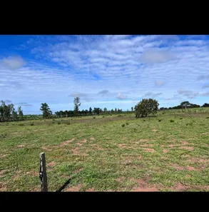Fazenda / Sítio / Chácara à venda no , Guaraí