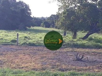 Fazenda / Sítio / Chácara à venda, 12387375m² no Área Rural de Gurupi, Gurupi
