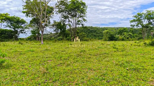 Fazenda / Sítio / Chácara com 2 Quartos à venda, 3388000m² no Área Rural de Formosa, Formosa