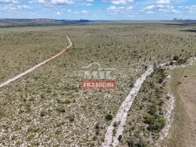 Fazenda / Sítio / Chácara à venda, 500m² no Setor Central, Ponte Alta do Tocantins