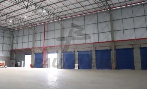Galpão / Depósito / Armazém para alugar, 9144m² no , Conde