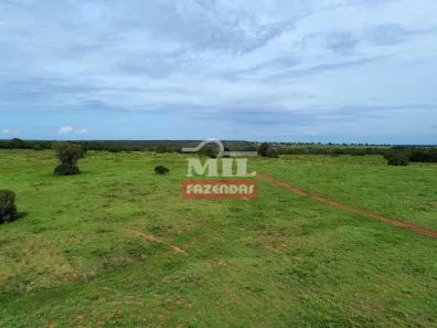 Fazenda / Sítio / Chácara à venda, 500m² no , Formoso do Araguaia