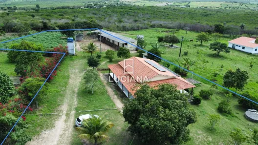 Fazenda / Sítio / Chácara com 3 Quartos à venda, 250m² no Cruzeiro, Gravatá