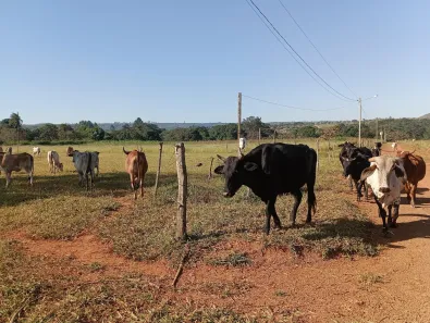 Fazenda / Sítio / Chácara à venda, 20000m² no Jardim Lago Azul, Novo Gama