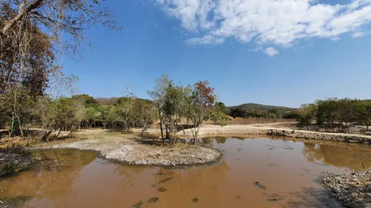 Terreno / Lote / Condomínio à venda, 20000m² no Zona Rural, Fortuna de Minas