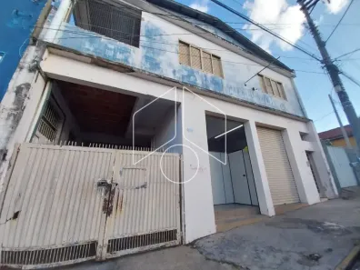 Galpão / Depósito / Armazém à venda, 484m² no Centro, Marília