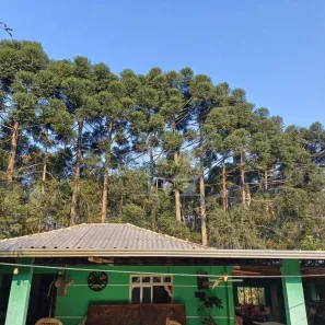 Fazenda / Sítio / Chácara com 3 Quartos à venda, 14984m² no , Fazenda Rio Grande