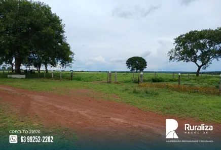 Fazenda / Sítio / Chácara à venda, 1950m² no , Paraíso do Tocantins