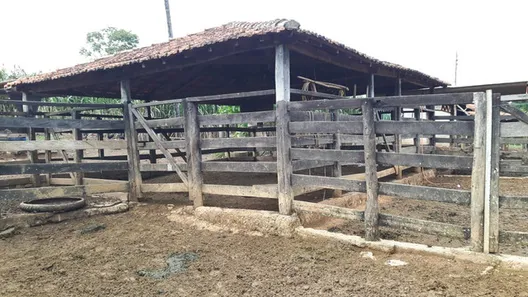Fazenda / Sítio / Chácara à venda, 280000m² no Centro, Formosa