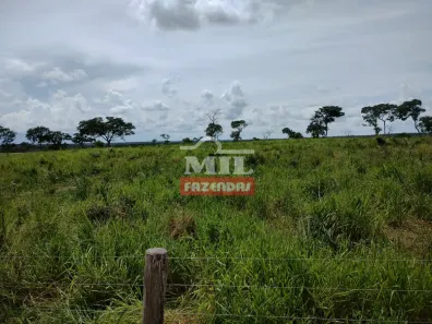 Fazenda / Sítio / Chácara à venda, 500m² no , Paranã