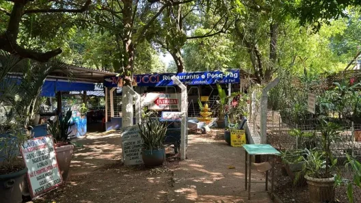 Fazenda / Sítio / Chácara com 4 Quartos à venda, 147m² no Vila Sedenho, Araraquara