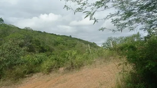 Fazenda / Sítio / Chácara com 4 Quartos à venda, 140000m² no , Pombos