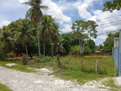 Terreno / Lote / Condomínio para venda ou aluguel, 2000m² no Cristo Rei, Dias d'Ávila