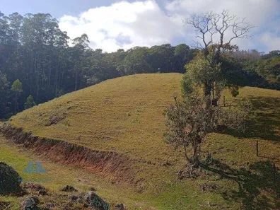 Terreno / Lote / Condomínio à venda, 20004m² no Centro, São Pedro de Alcântara