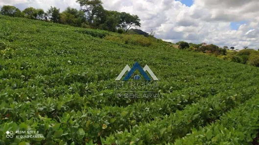 Fazenda / Sítio / Chácara à venda, 798600m² no Macuco, Cornélio Procópio