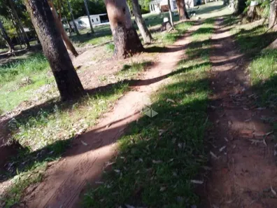 Fazenda / Sítio / Chácara com 4 Quartos à venda, 128m² no , Santa Maria