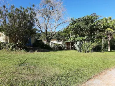 Fazenda / Sítio / Chácara com 2 Quartos à venda, 90m² no Paulas e Mendes, Piedade