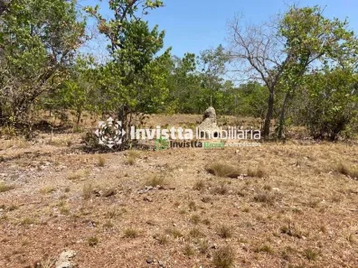 Fazenda / Sítio / Chácara à venda, 242m² no Centro, Pium